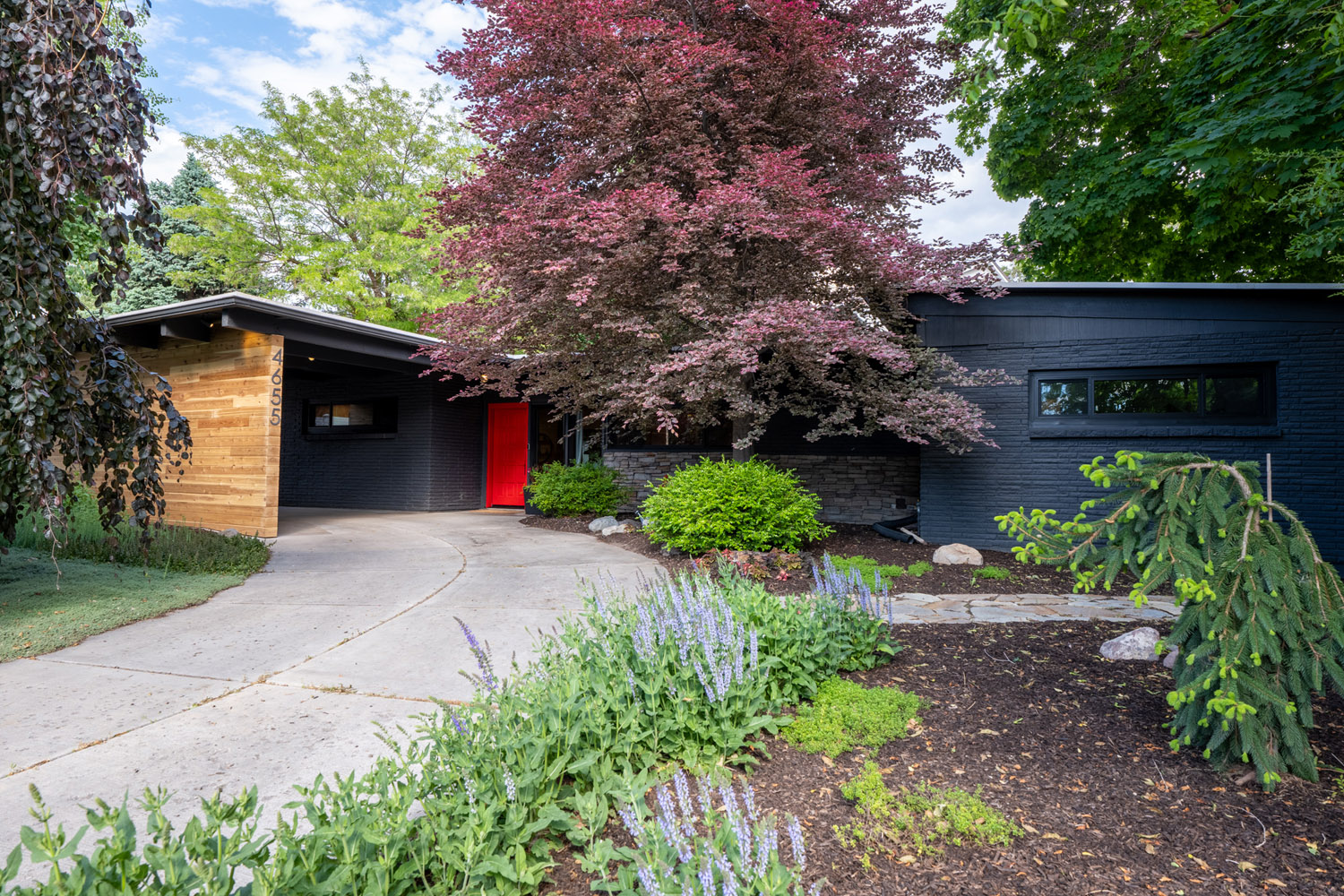 real estate listing photo