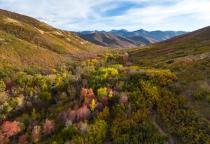 aerial photo fall colors